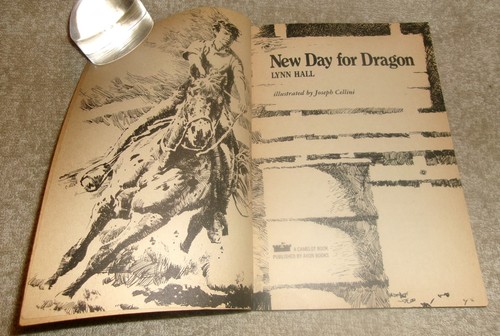 New day for dragon a - +, horse