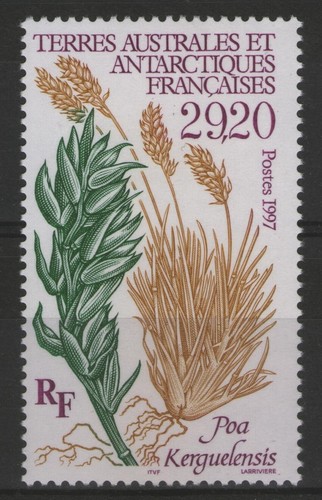 Taaf 220 flore - taaf:, n°220