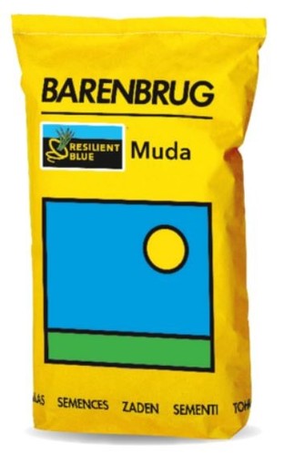 Barenbrug resilient blue - resilient, muda